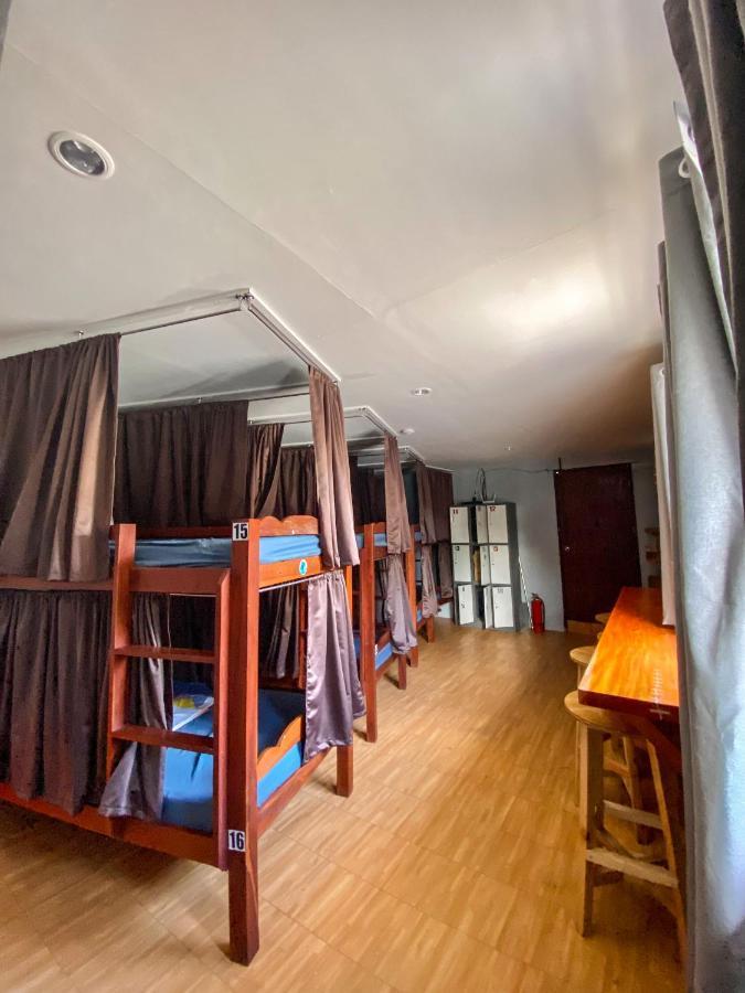 Bunk Bed Mixed Dormitory Room,1237517293:JPEG